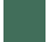 COLORAMA 2,72M SPRUCE GREEN